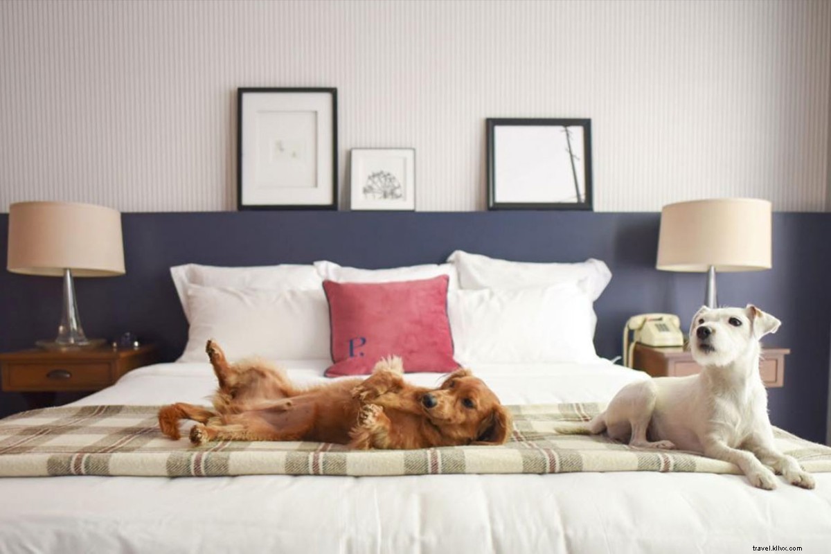 Feel at Home in West Hollywood: Palihouse s Timeless Charm and Luxury