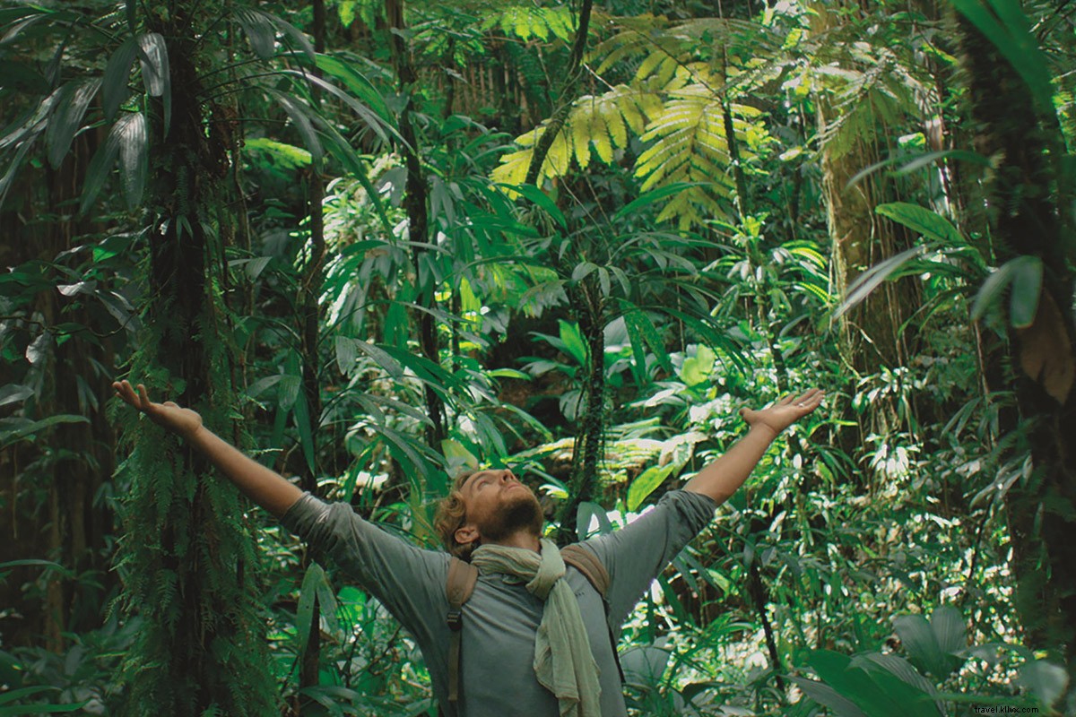 Ultimate Guide: Top 5 Must-Do Experiences in the Guadeloupe Islands