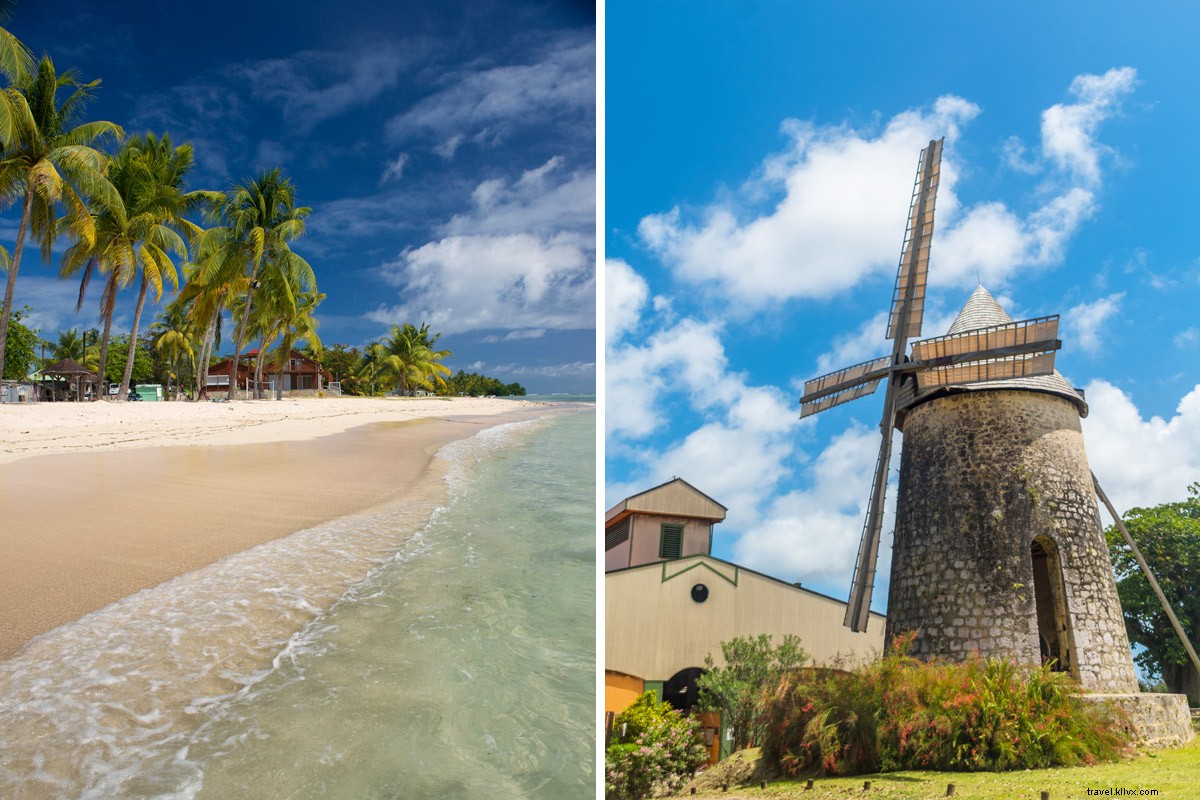 Ultimate Guide: Top 5 Must-Do Experiences in the Guadeloupe Islands