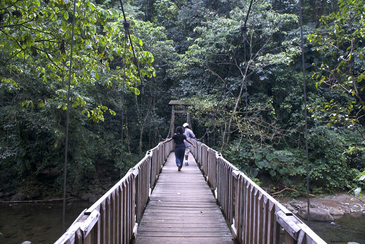 Discover Guadeloupe Islands: Your Ultimate Caribbean Paradise Awaits