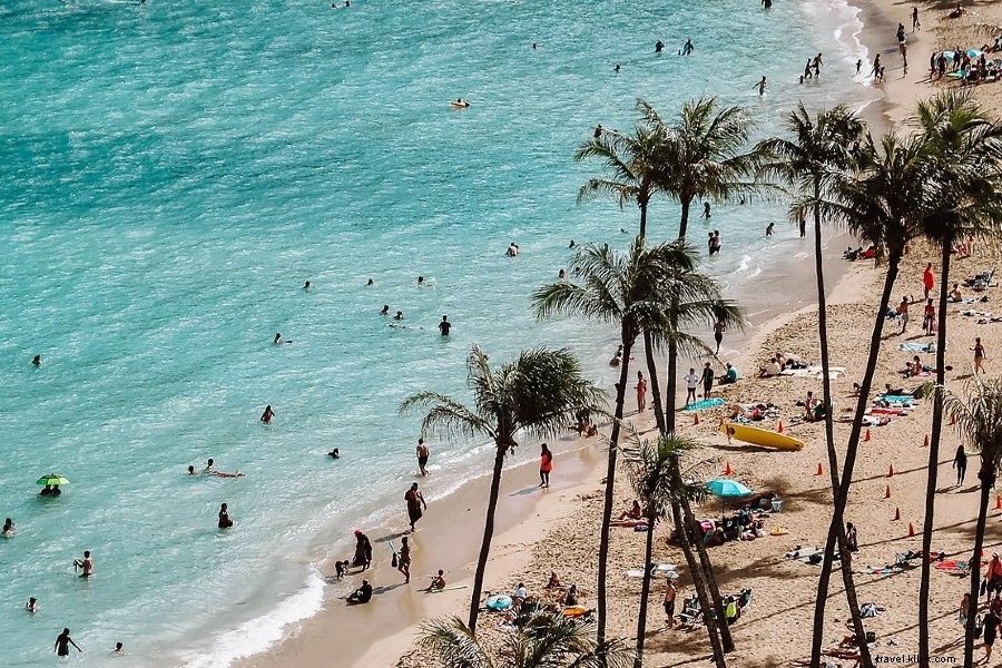 Hotel Renew: Waikiki s Affordable, Chic Boutique Wellness Retreat