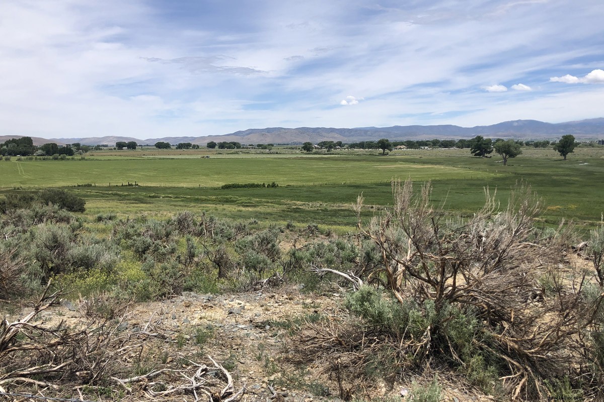 Epic Nevada Road Trip: Haunted Houses, Whack-a-Moles & Blood Saloons in the Wild West