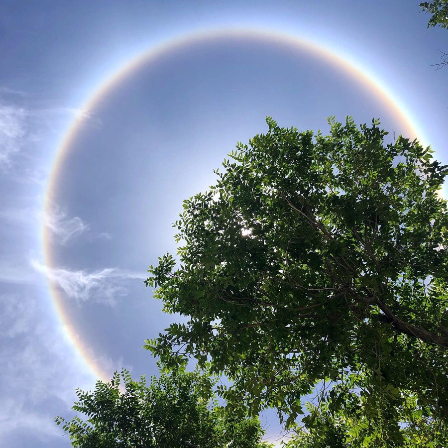 Epic Nevada Road Trip: Haunted Houses, Whack-a-Moles & Blood Saloons in the Wild West