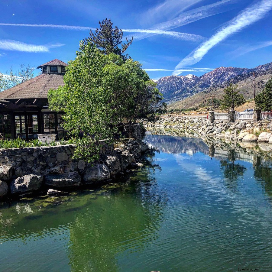 Epic Nevada Road Trip: Haunted Houses, Whack-a-Moles & Blood Saloons in the Wild West