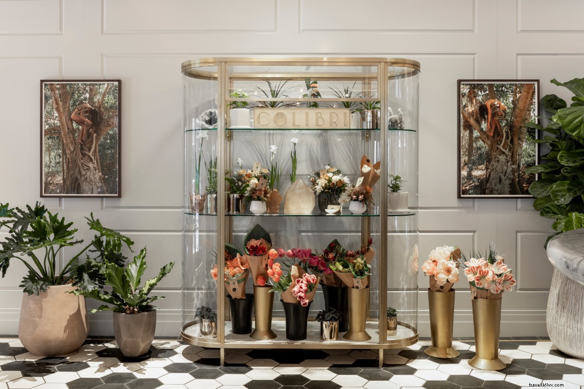 Woodlark Hotel Portland: Historic Charm Where the Lobby Beckons You to Stay