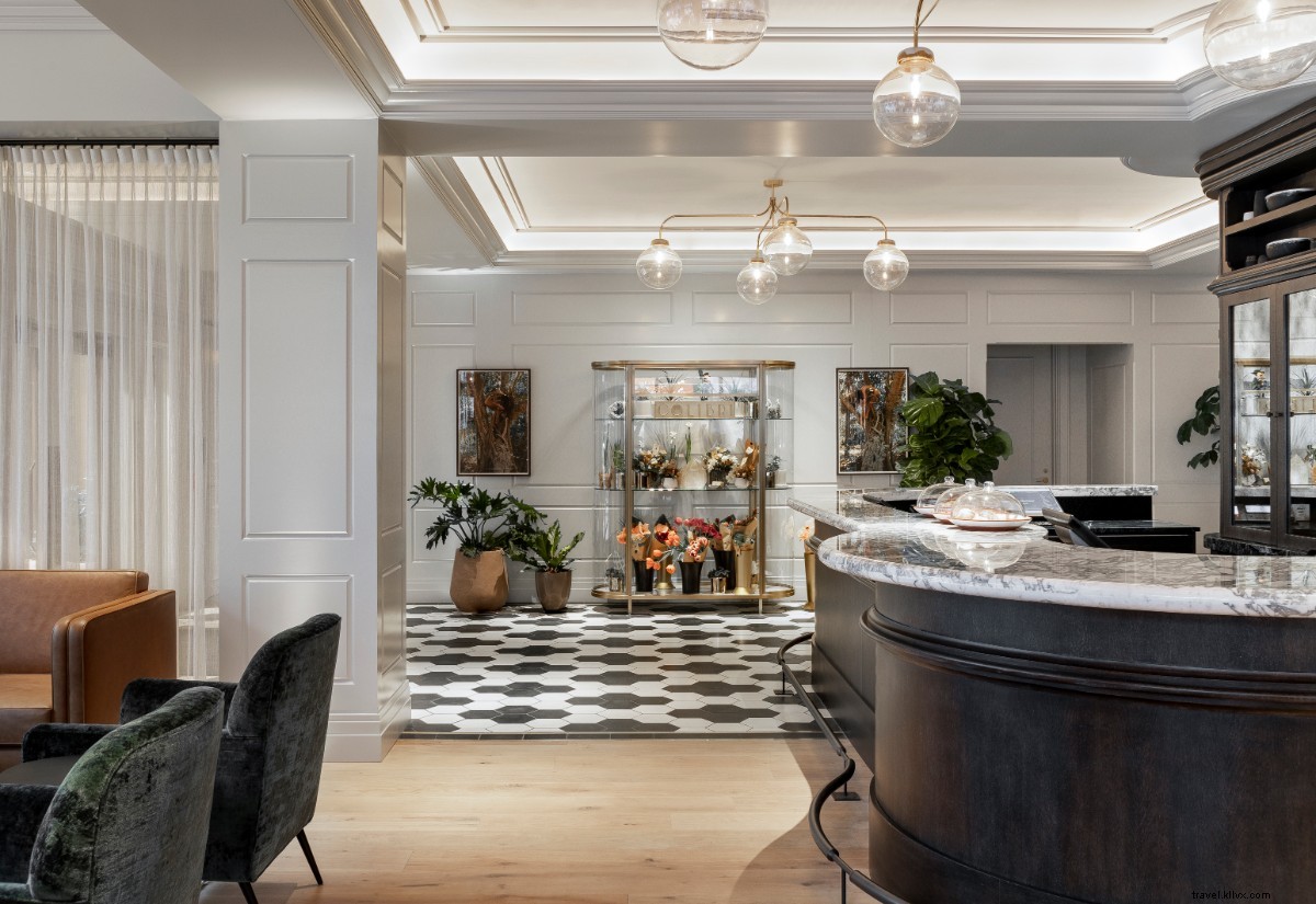 Woodlark Hotel Portland: Historic Charm Where the Lobby Beckons You to Stay