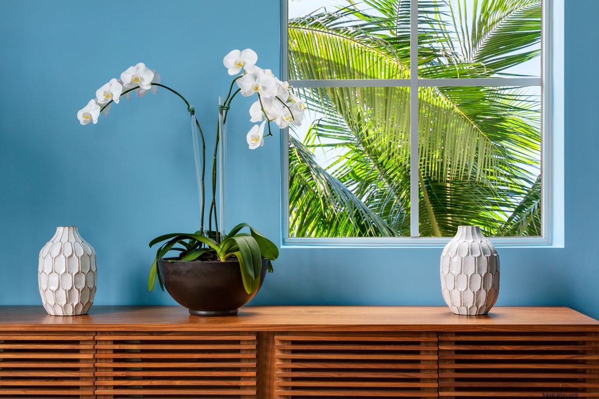 Washington Park Hotel South Beach: Beach Access and Playful Stays from $90