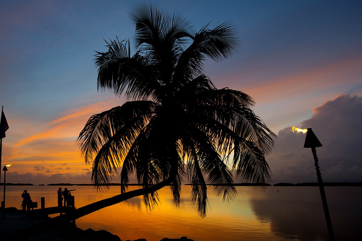 Sustainable Travel Guide to the Florida Keys: Eco-Friendly Adventures Await