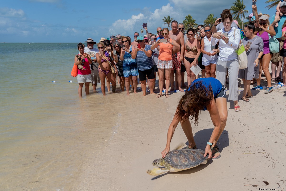 Sustainable Travel Guide to the Florida Keys: Eco-Friendly Adventures Await