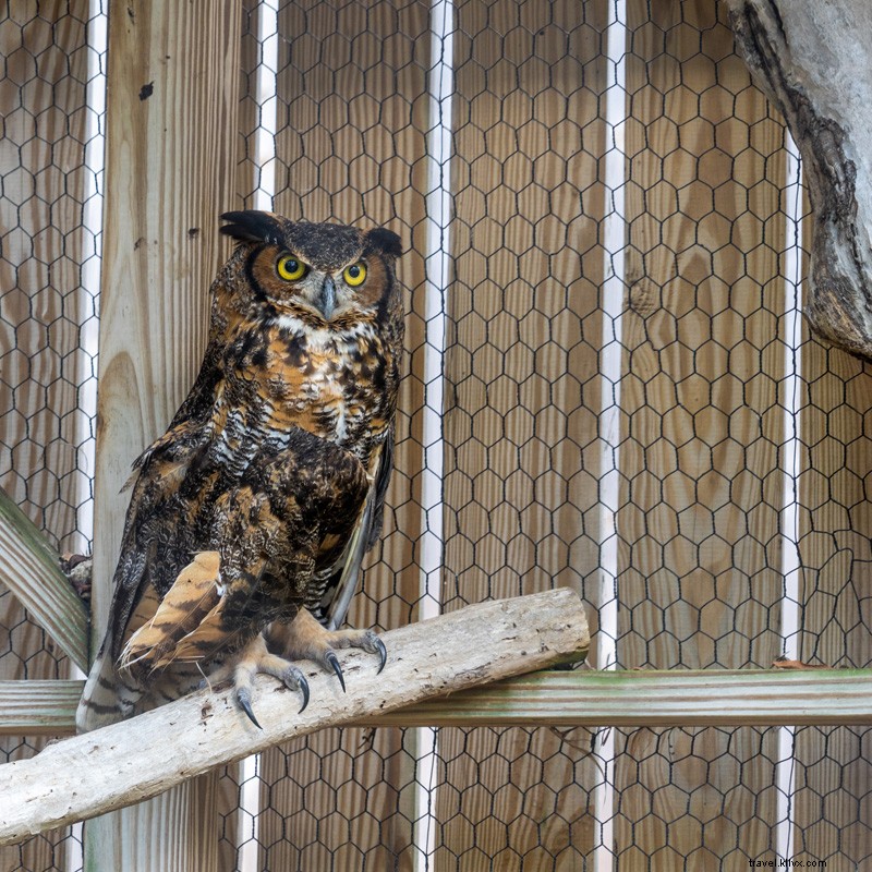 Sustainable Travel Guide to the Florida Keys: Eco-Friendly Adventures Await