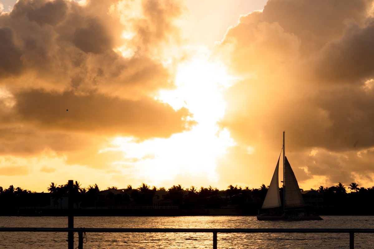 Sustainable Travel Guide to the Florida Keys: Eco-Friendly Adventures Await