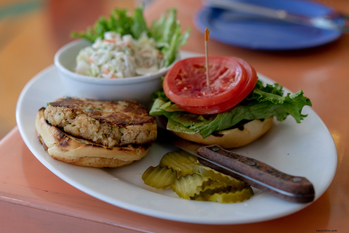 Sustainable Travel Guide to the Florida Keys: Eco-Friendly Adventures Await