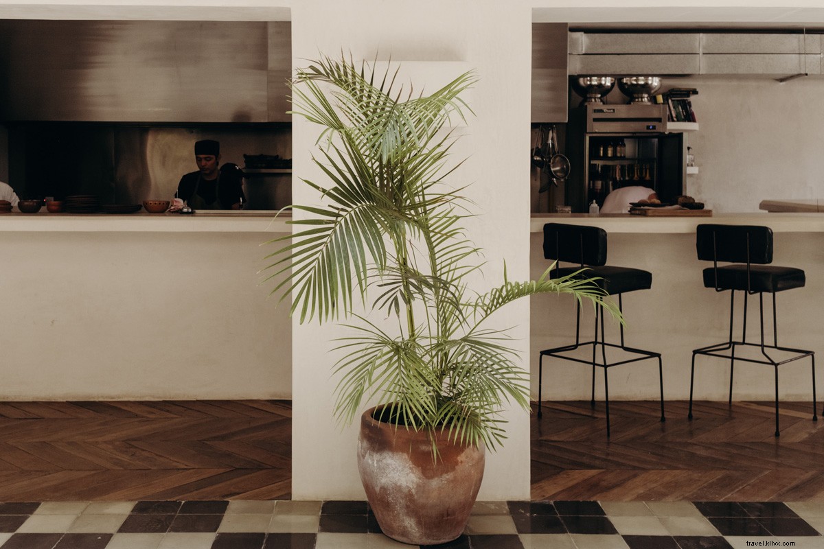 Tulum Revival: Is It Finally Safe to Return to Mexico s Chic Beach Paradise?