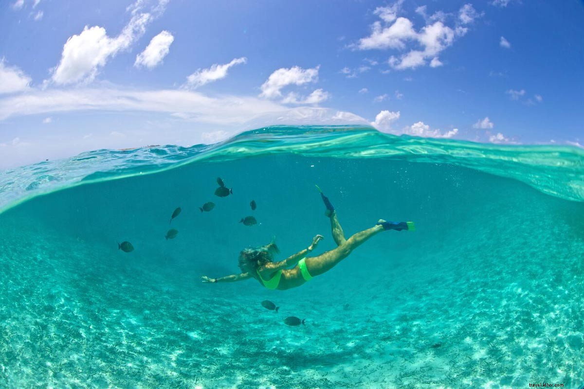 Oceans Edge Resort & Marina: Florida s Premier Key West Island Retreat from $170