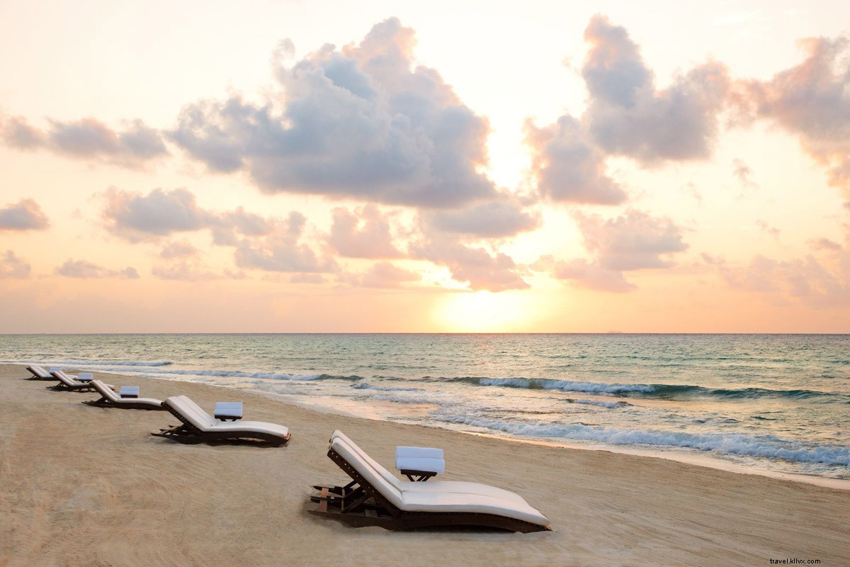 Discover Jungle Paradise at Viceroy Riviera Maya Resort