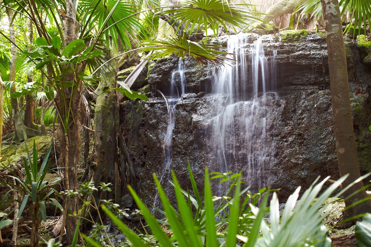 Discover Jungle Paradise at Viceroy Riviera Maya Resort