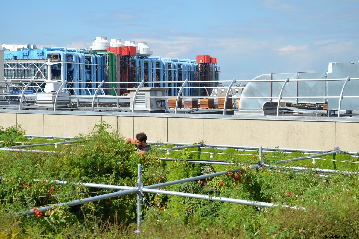 Le BHV Marais: Paris s Iconic Department Store for a Full Day of Shopping and Discovery