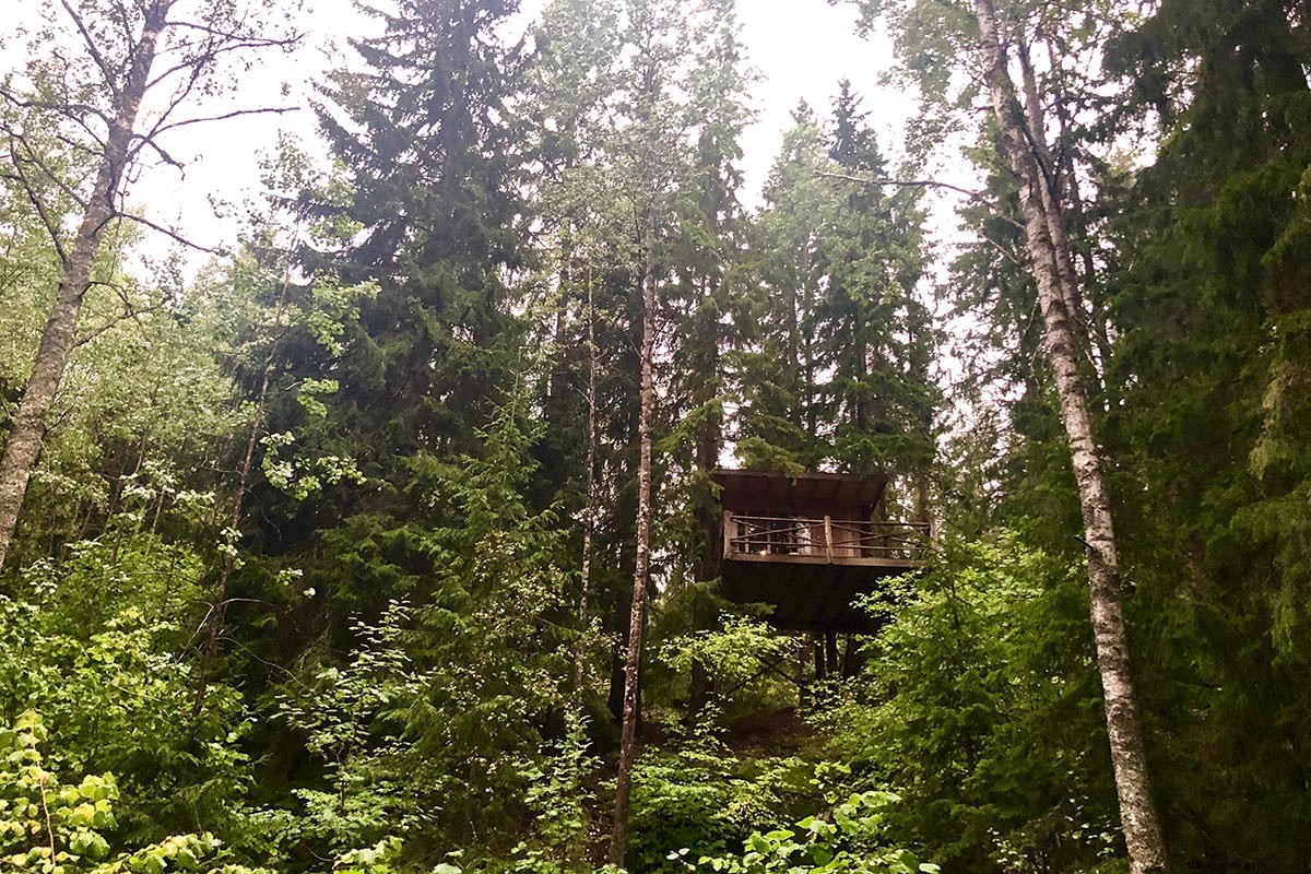 Discover Four Exclusive Adventures in Sweden s Untouched Wilderness