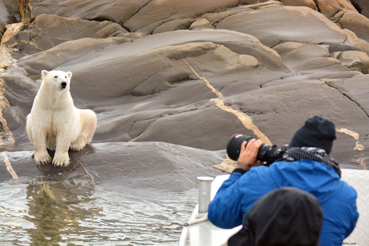 Discover Churchill: Manitoba s Polar Bear Capital and Ultimate Wildlife Adventure