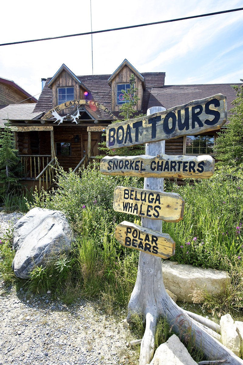 Discover Churchill: Manitoba s Polar Bear Capital and Ultimate Wildlife Adventure