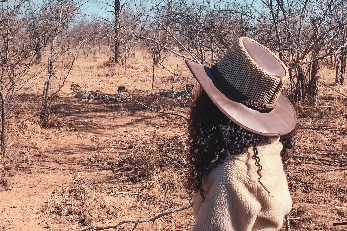 Affordable Luxury Safari in South Africa s Karongwe Game Reserve