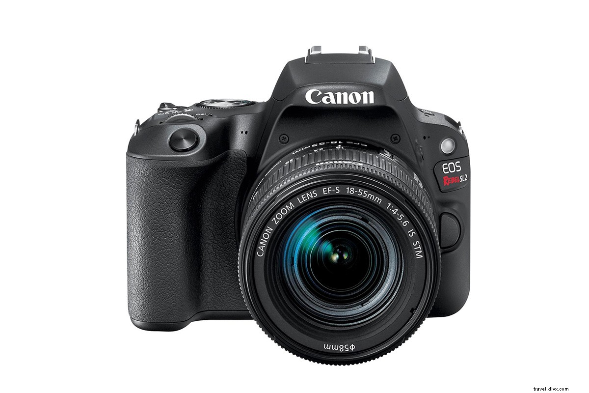 Ultimate Safari Essentials: Must-Pack Items & Expert Tips Before Your Adventure