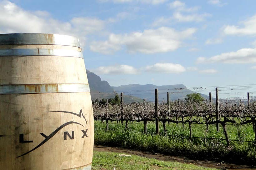Uncover Hidden Vineyards in South Africa s Wild Wine Country: Elgin & Swartland Gems
