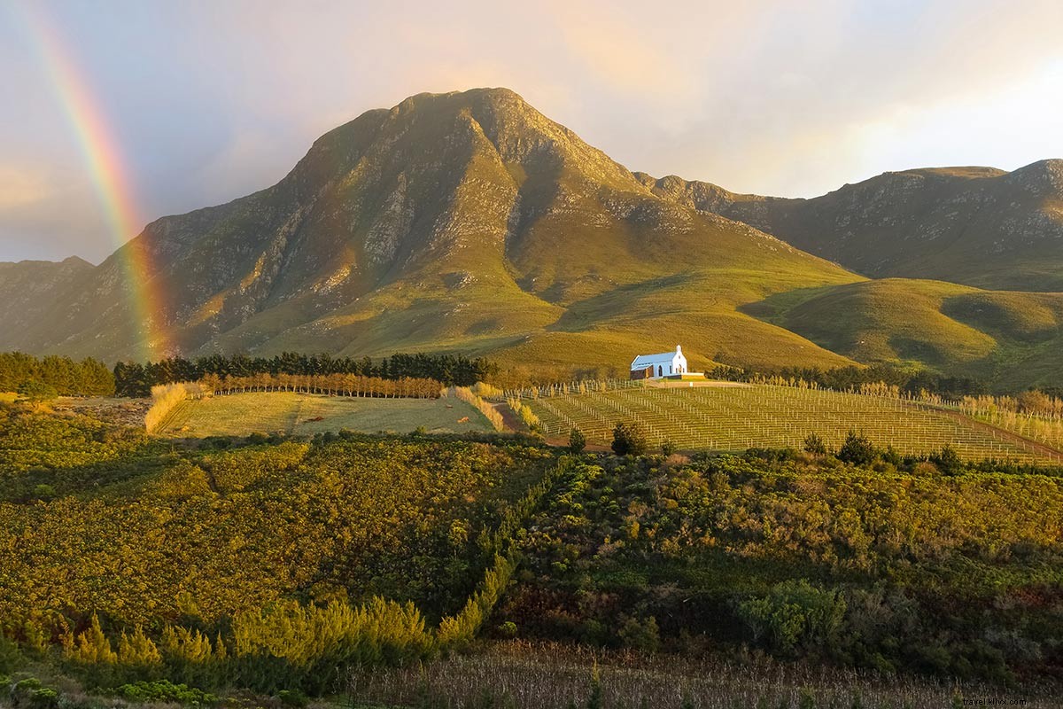 Uncover Hidden Vineyards in South Africa s Wild Wine Country: Elgin & Swartland Gems