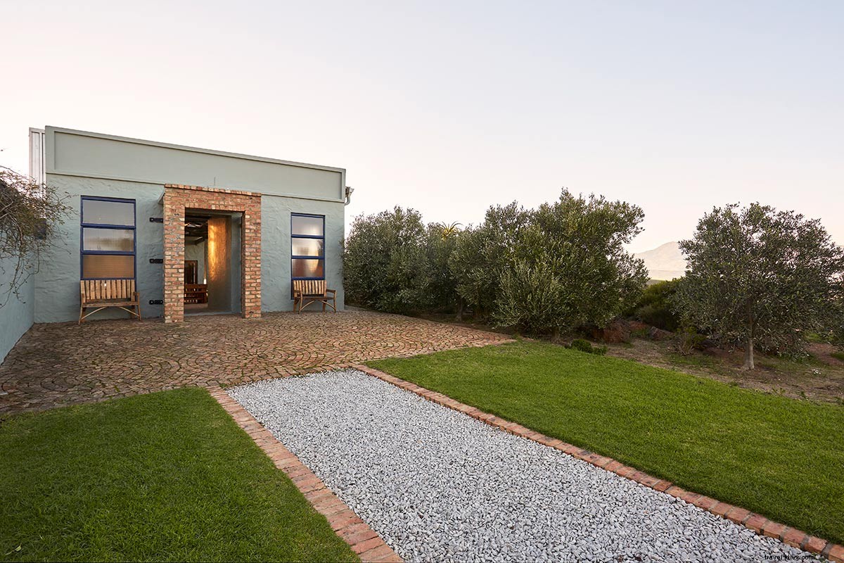 Uncover Hidden Vineyards in South Africa s Wild Wine Country: Elgin & Swartland Gems