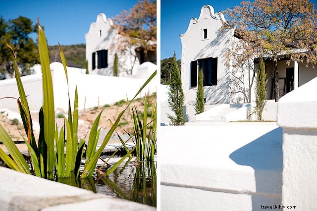 Uncover Hidden Vineyards in South Africa s Wild Wine Country: Elgin & Swartland Gems