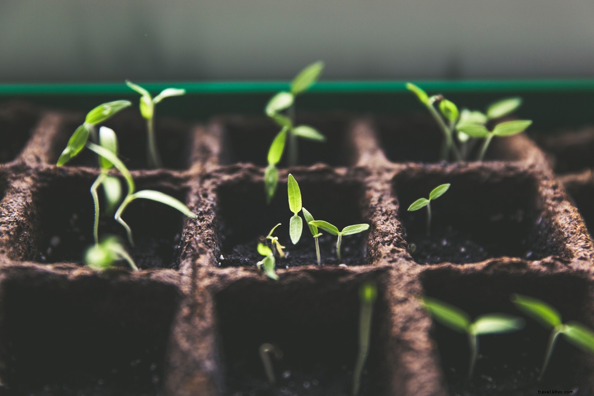 Go Plastic-Free: Sustainable Swaps for Essential Travel Gear