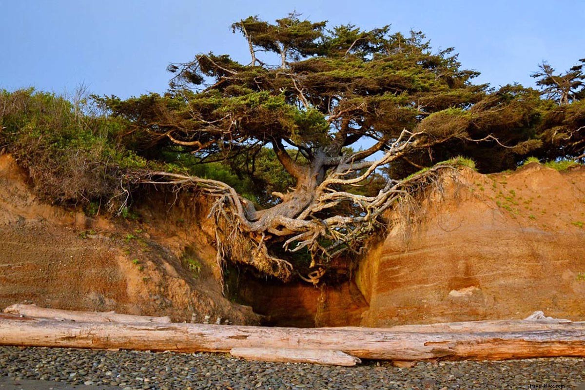 Links We Love: Earth Day Wonders in America s National Parks (04/20/19)