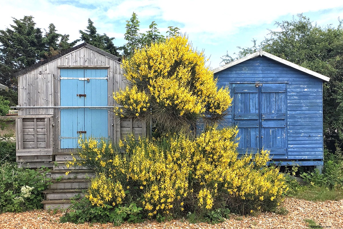 Whitstable Day Trip from London: Fresh Oysters, Colorful Beach Huts & Instagram-Worthy Spots