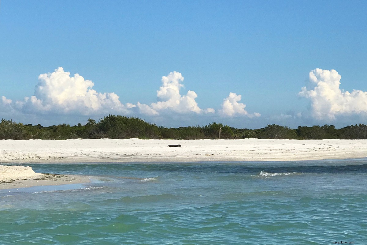Discover the Timeless Beach Charms of Sanibel, Captiva, and Florida s Barrier Islands