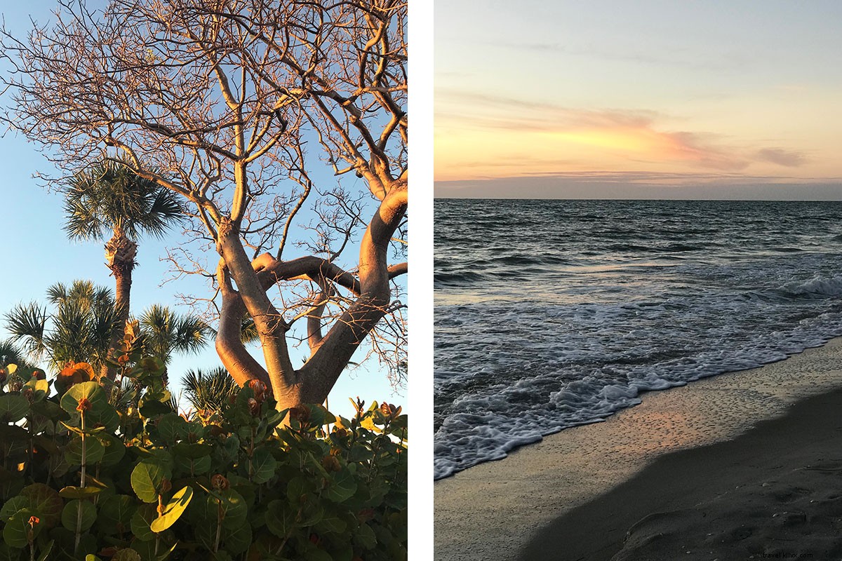 Discover the Timeless Beach Charms of Sanibel, Captiva, and Florida s Barrier Islands