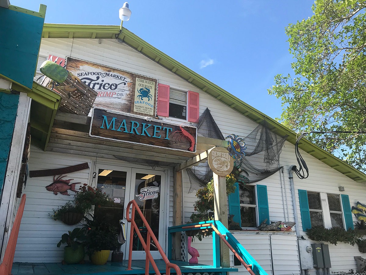 Discover the Timeless Beach Charms of Sanibel, Captiva, and Florida s Barrier Islands