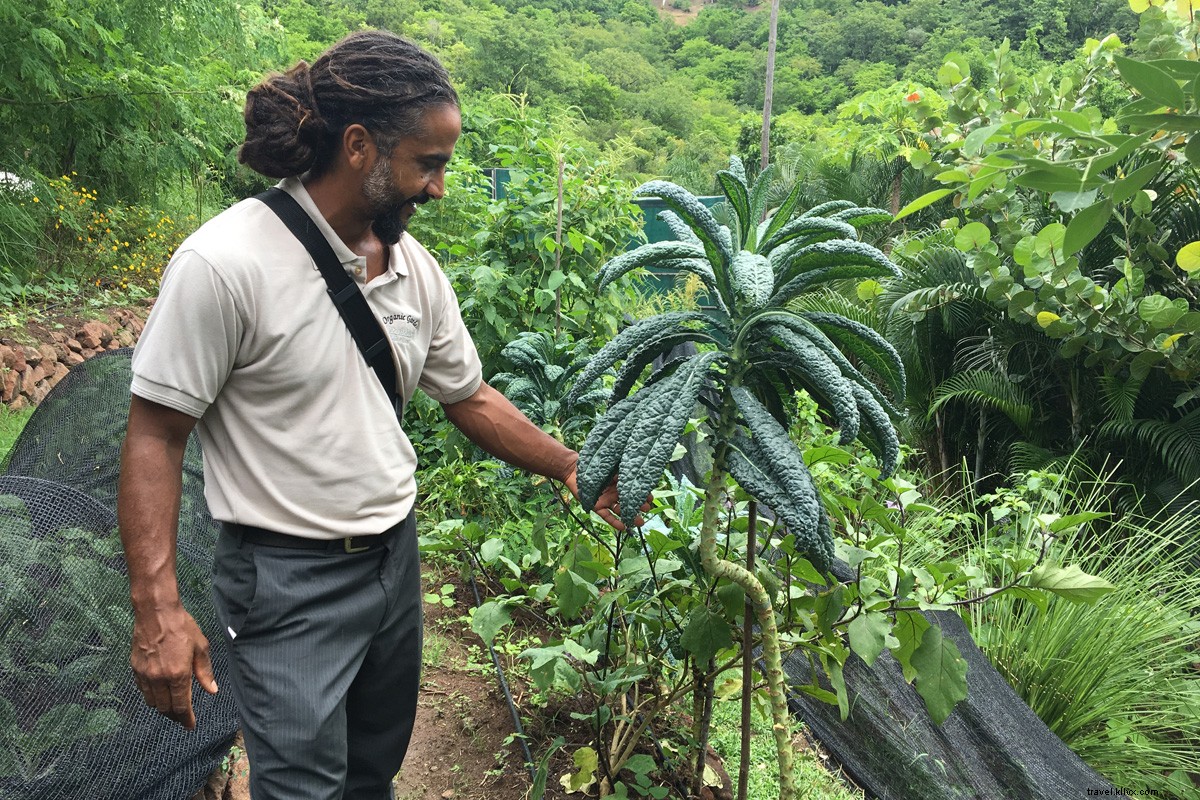 BodyHoliday Saint Lucia: An All-Inclusive Spa Retreat That Exceeds Expectations