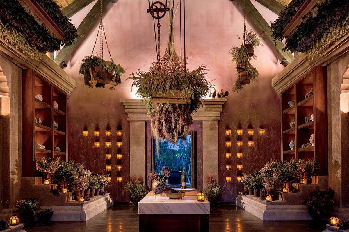 Discover Dorado Beach: Caribbean s Top Spa, Just 4 Hours from NYC