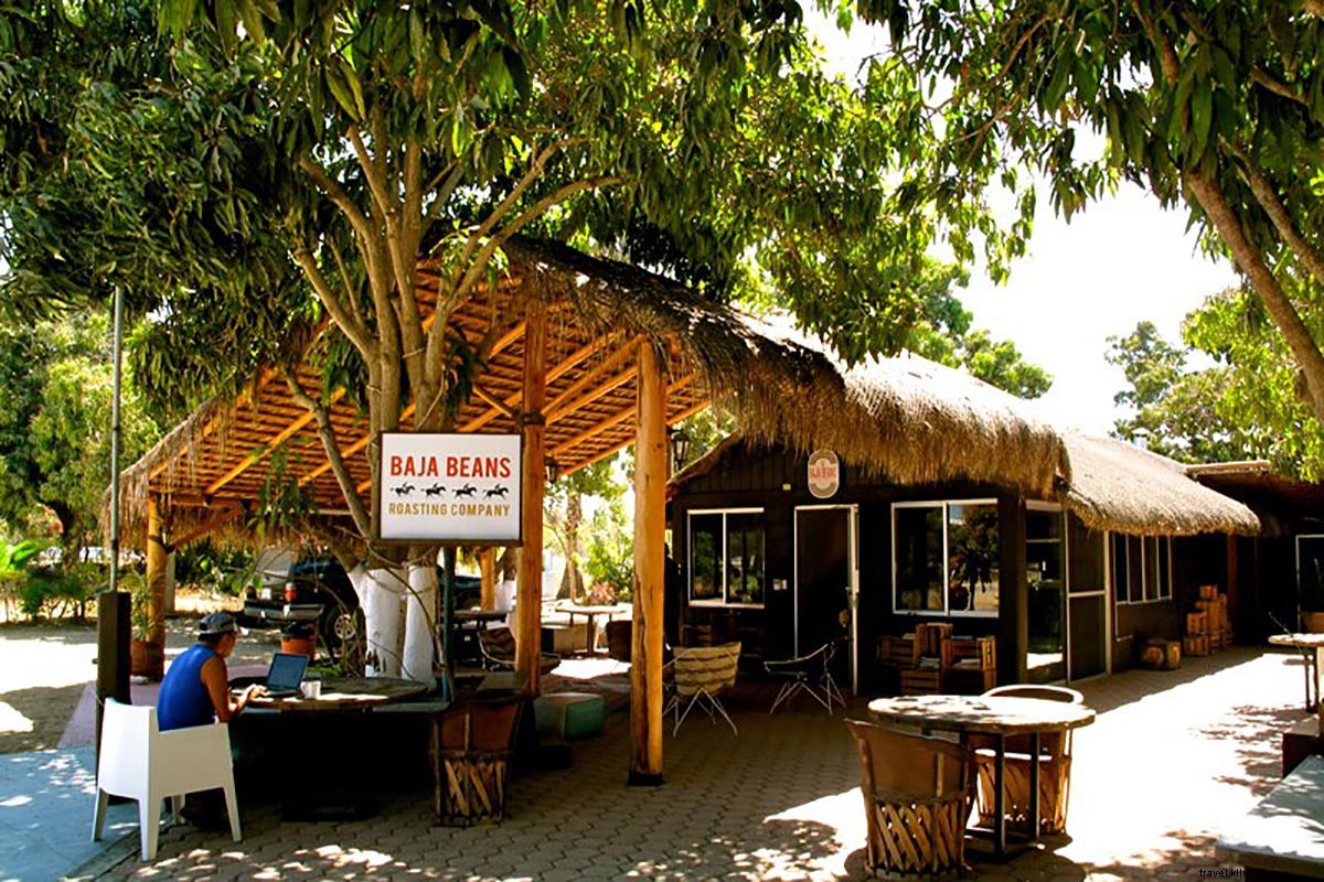 Top 6 Must-Visit Destinations in Baja California, Mexico