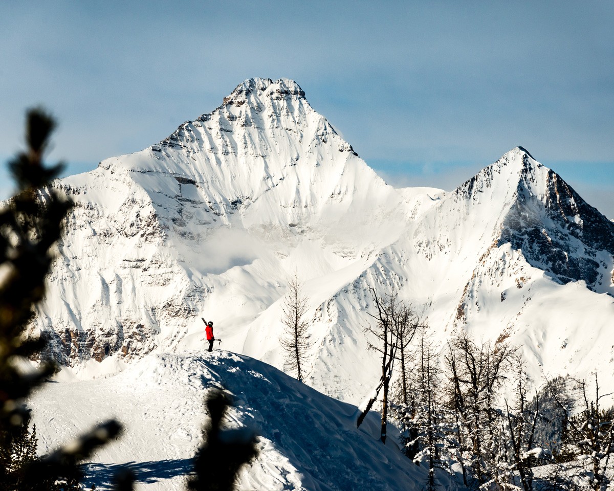Epic 4-Day British Columbia Adventure: Peaks, Forests & Hot Springs