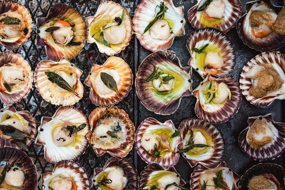 A Surfer s Wild Cooking Adventure in Tasmania