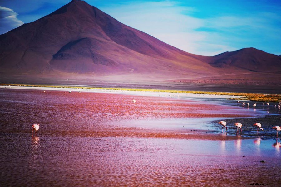 Discover Vibrant Rainbow Beaches and Lakes: Must-Add Travel Wonders