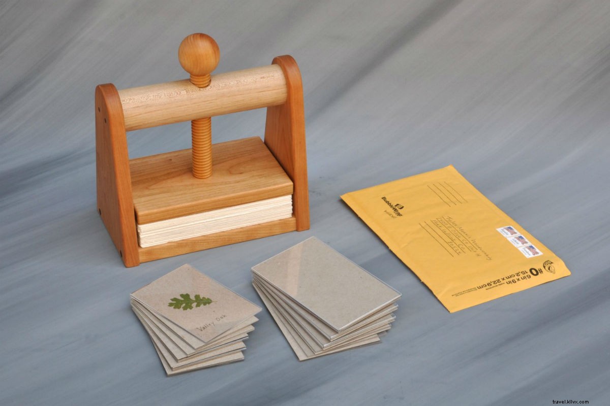 17 Charming Global Gift Ideas Under $300 for Avid Travelers