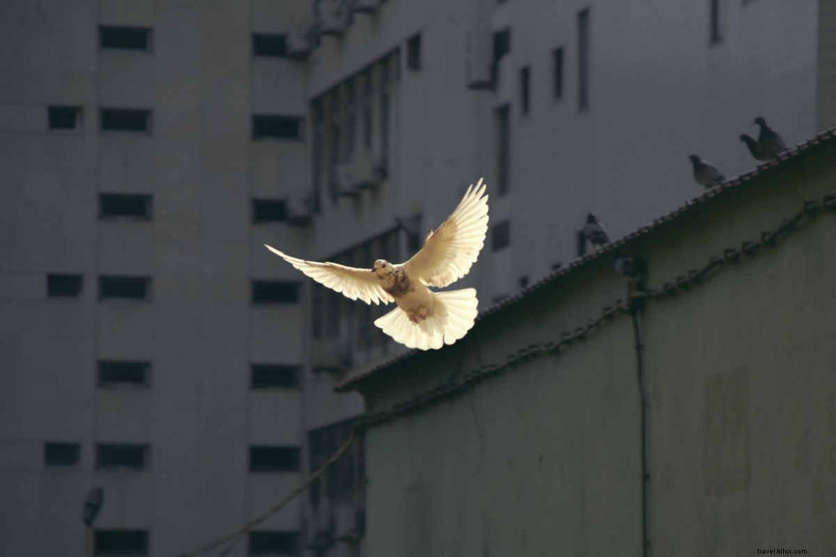 Overwhelmed by Bad News? How to Donate Effectively and Make a Real Impact