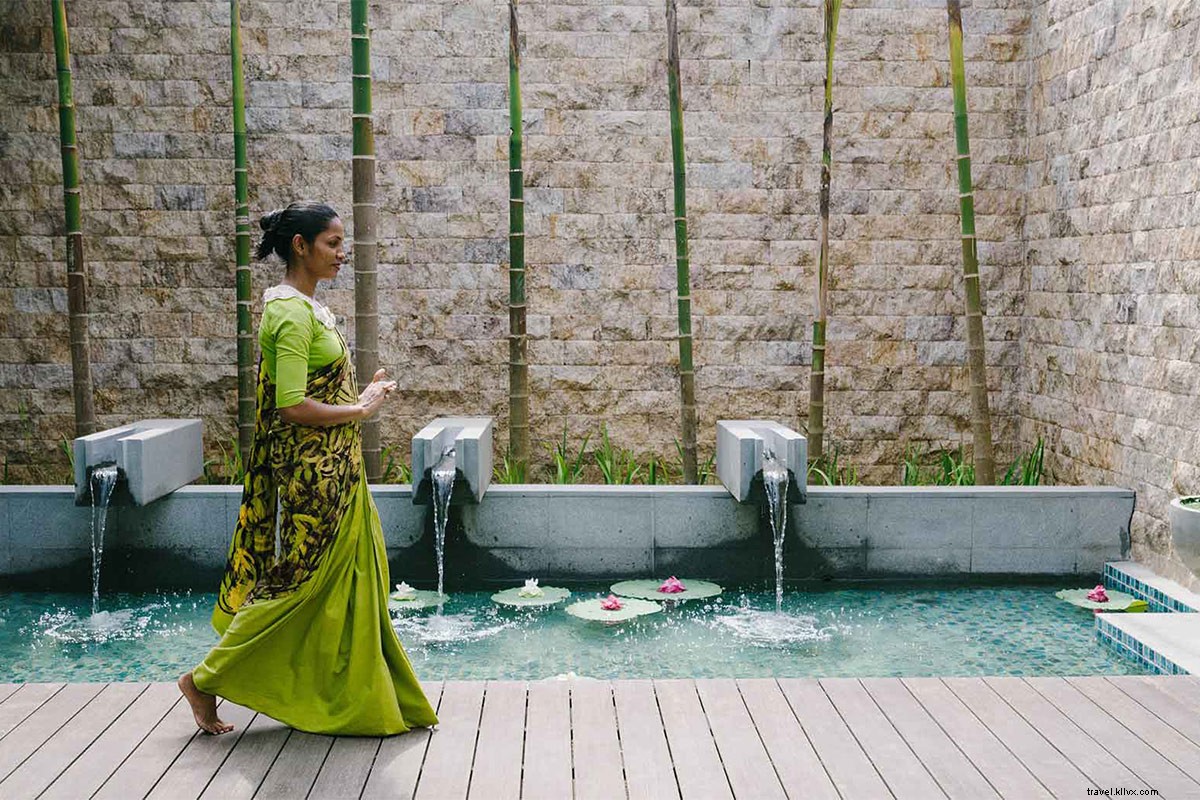 Discover Safari, Surfing, and Ayurveda on Sri Lanka s South Coast