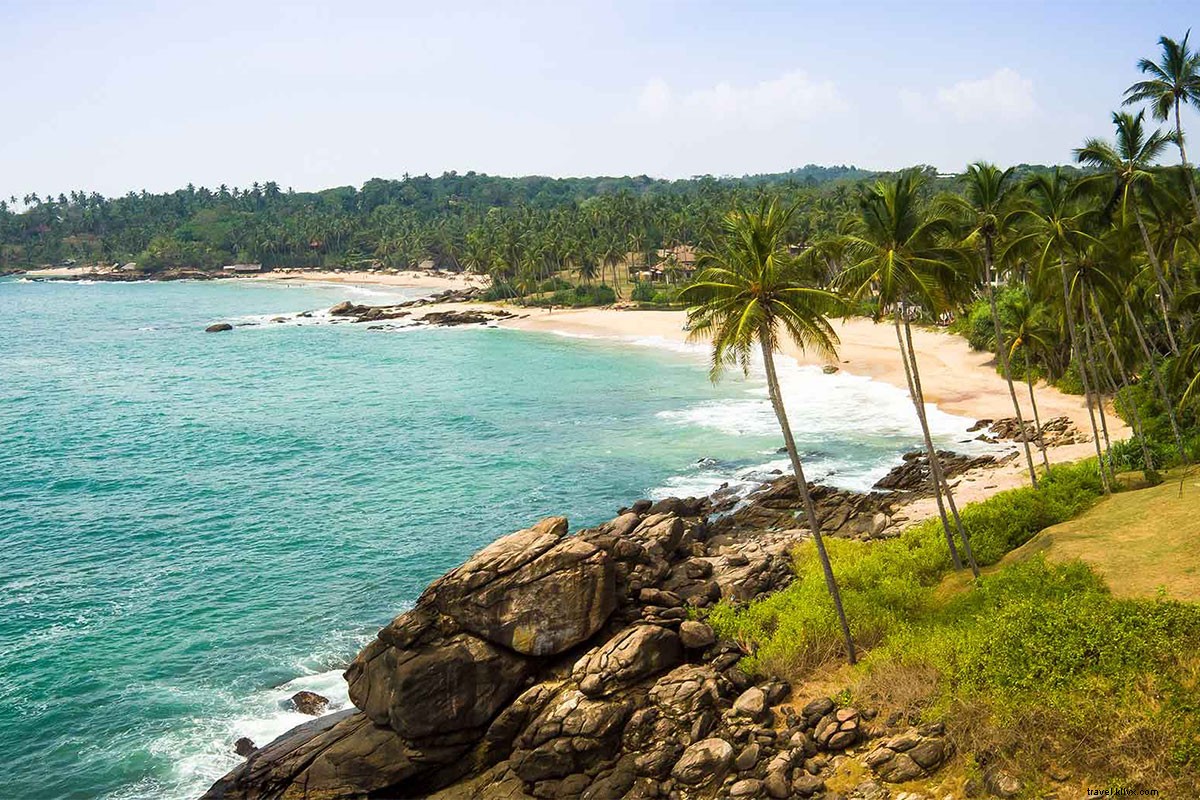 Discover Safari, Surfing, and Ayurveda on Sri Lanka s South Coast