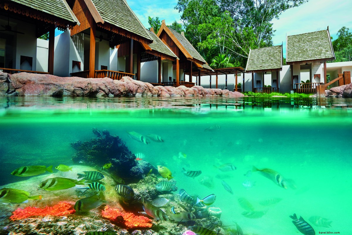 Unwind in Paradise: Stunning 270° Ocean Views at The Ritz-Carlton Koh Samui