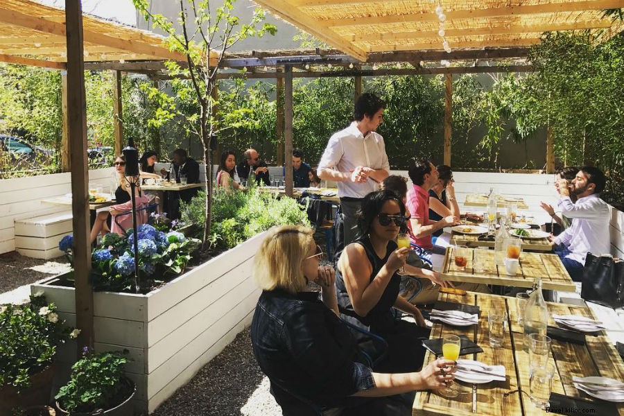 Discover Bed-Stuy s Hidden Gems: Brooklyn s Best Local Treasures