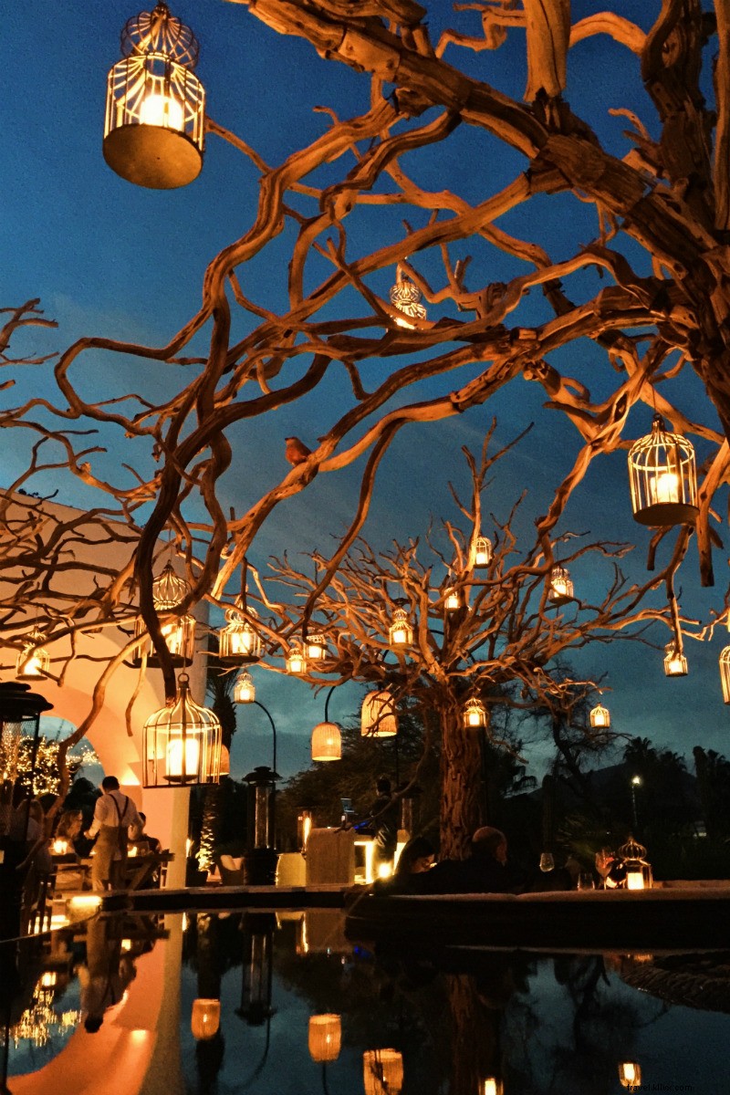 Rediscover Los Cabos, Mexico: Luxury Villas, Boutique Hotels & Culinary Gems