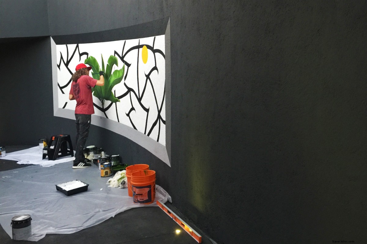 Rediscover Los Cabos, Mexico: Luxury Villas, Boutique Hotels & Culinary Gems